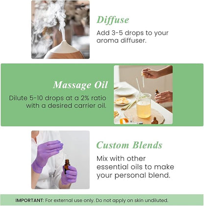 Handcraft Blends Basil Essential Oil – Huge 4 Fl Oz – 100% Pure and Natural – Premium Grade Essential Oil for Diffuser and Aromatherapy, Skin, Massage, Candle and Soap Making Fragrance