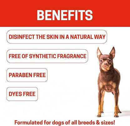 Natural Dog Shampoo for Hot Spots And Sores | Soothing Relief for Irritated Or Itchy Skin | Made In The USA With Organic and Natural Ingredients | Made with essential oils | 16fl oz 473 ml.