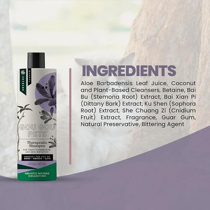 Holistic Natural Anti-Fungal Shampoo for Dogs, Cats & Horses: Veterinarian Recommended: Relieve Itching & Flaking Skin Caused by Fungal Infections & Skin Conditions - Made in USA - 16 oz