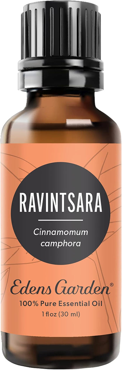 Edens Garden Ravintsara Essential Oil- 100% Pure Premium Grade, Undiluted, Natural, Therapeutic, Aromatherapy, The Best for Diffuser, Candle, Laundry, Humidifiers 30 ml (1 fl oz)