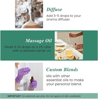 Handcraft Blends Eucalyptus Essential Oil – Huge 4 Fl Oz – 100% Pure and Natural – Premium Grade Essential Oil for Diffuser and Aromatherapy, Skin, Massage, Candle and Soap Making Fragrance