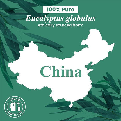 Handcraft Blends Eucalyptus Essential Oil – Huge 4 Fl Oz – 100% Pure and Natural – Premium Grade Essential Oil for Diffuser and Aromatherapy, Skin, Massage, Candle and Soap Making Fragrance