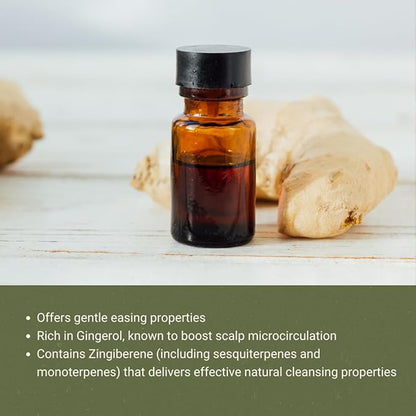 Ginger Essential Oil - Direct from Bio-Young Aromas - Pure Ginger Oil for Skin - Aceite de Jengibre - Aromatherapy 100% Therapeutic Premium Grade (22lbs)