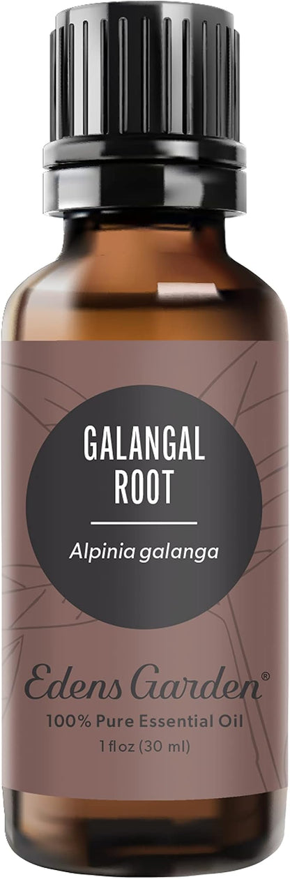 Edens Garden Galangal Root Essential Oil- 100% Pure Premium Grade, Undiluted, Natural, Therapeutic, Aromatherapy, The Best for Diffuser, Candle, Laundry, Humidifiers 30 ml (1 fl oz)