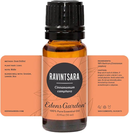 Edens Garden Ravintsara Essential Oil- 100% Pure Premium Grade, Undiluted, Natural, Therapeutic, Aromatherapy, The Best for Diffuser, Candle, Laundry, Humidifiers 10 ml (.33 fl oz)