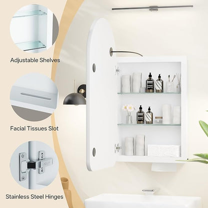 LED Arched Bathroom Medicine Cabinet with Mirror, No Assembly Needed, Recessed or Surface Mount Wall Storage Cabinet, Mirror Cabinet with Tissue Slot (Bevel-LED, 29.5" L x 15.7" W)
