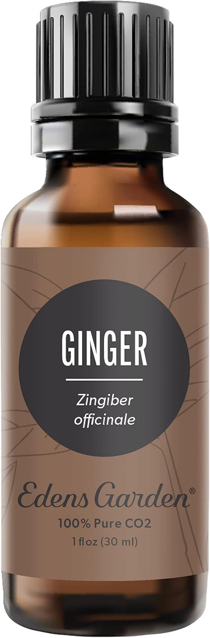 Edens Garden Ginger CO2 Essential Oil- 100% Pure Premium Grade, Undiluted, Natural, Therapeutic, Aromatherapy, The Best for Diffuser, Candle, Laundry, Humidifiers 30 ml (1 fl oz)