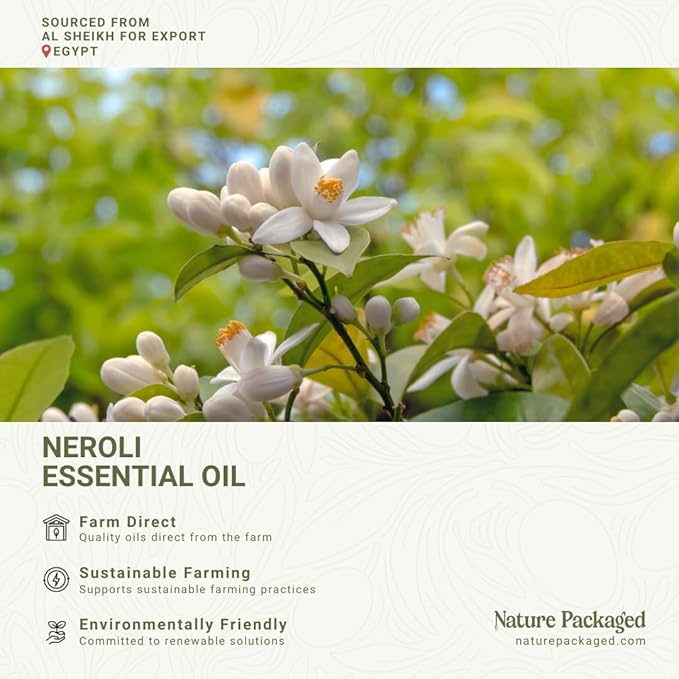 Neroli Essential Oil - Direct from Al Sheikh for Export Egypt - Steam Distilled - Aceite de Neroli for Aromatherapy, Massage, Diffuser, DIY Candle and Soap Making - 8oz