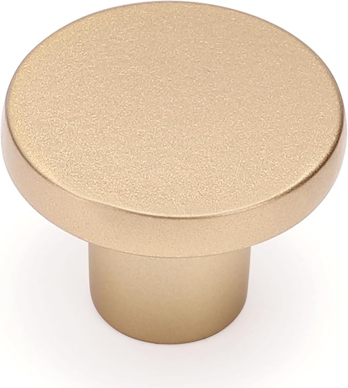 Ravinte 5 Pack Cabinet Knobs Champagne Gold Kitchen Cabinet Knobs Round Dresser Drawer Pulls Closet Door Pulls 1-1/5 Inch