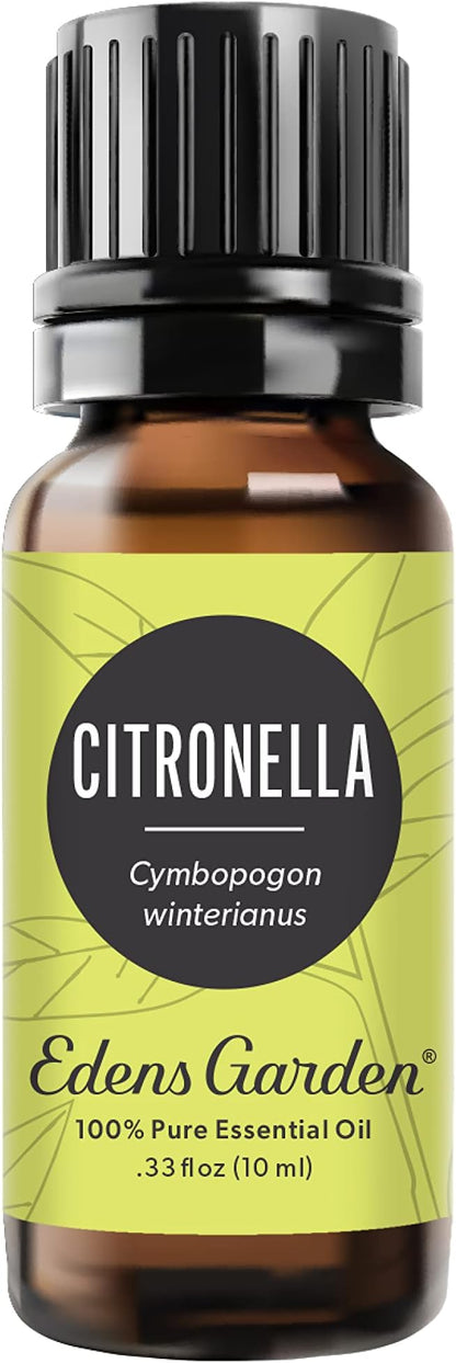 Edens Garden Citronella Essential Oil- 100% Pure Premium Grade, Undiluted, Natural, Therapeutic, Aromatherapy, The Best for Diffuser, Skin, Candle, Kid Safe 10 ml (.33 fl oz)