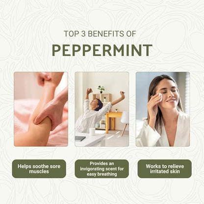 Peppermint Essential Oil - Direct from Norex Flavours India - Steam Distilled - Aceite Esencial de Menta for Aromatherapy, Massage, Diffuser, DIY Candle and Soap Making - 8oz