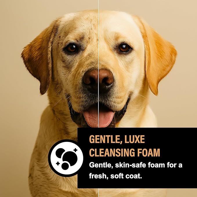 Luxe Foaming Dog Shampoo – Gentle, Moisturizing Pet Wash for Dry & Sensitive Skin – Skin Soothing, Odor Control, Shiny Healthy Coat – 8 fl oz (Amber Sandalwood)