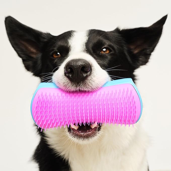 Pet Teezer De-Shedding Dog Brush by Tangle Teezer, Dog Grooming Tool for Long Haired Breeds and Wet or Dry Fur, Large, Blue & Pink