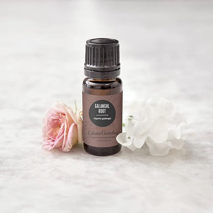 Edens Garden Galangal Root Essential Oil, 100% Pure Therapeutic Grade (Undiluted Natural/Homeopathic Aromatherapy Scented Essential Oil Singles) 10 ml