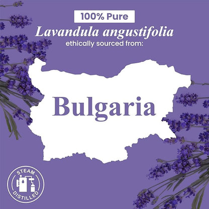 Handcraft Blends Lavender Essential Oil – 0.33 Fl Oz – 100% Pure and Natural – Premium Grade Essential Oil for Diffuser and Aromatherapy, Skin, Massage, Candle and Soap Making Fragrance