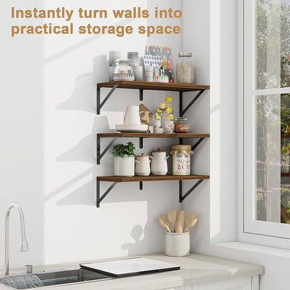 Fun Memories Floating Bookshelves, Set of 3 Wall-Mounted Wood Shelves 24" W x 8" D, Decorative Wall Shelf for Living Room, Bedroom, Bathroom, and Laundry Room (Walnut)