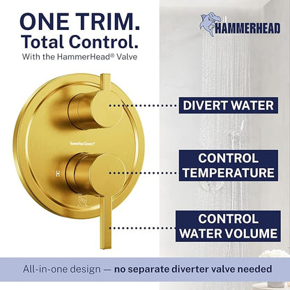 HammerHead Solid Metal Rain Shower System Set with Handheld and 10" Rainfall Head, Shower Valve and Trim Kit, 2-Handle Shower Faucet Set with 2 Way Diverter Body – Brushed Gold