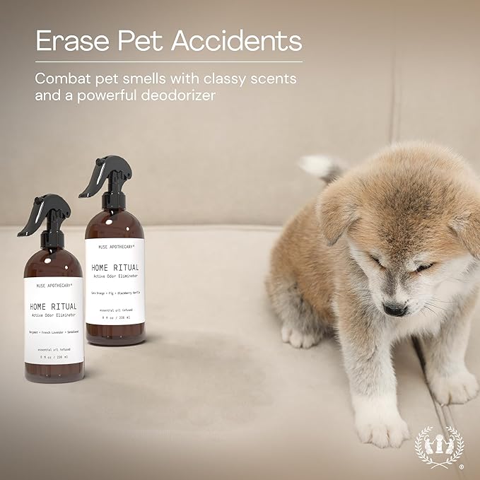 Muse Apothecary Home Ritual Active Odor Eliminator Spray - Furniture Deodorizer Spray & Bathroom Odor Eliminator for Home - Essential Oil Air Freshener - 8oz, Bergamot + French Lavender + Sandalwood 2