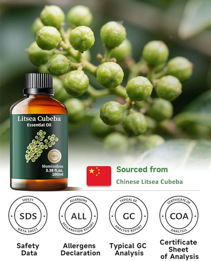 Mumianhua Litsea Cubeba Essential Oil 100% Pure Litsea Cubeba Oil Natural May Chang Essential Oil for Aroma & Diffusers, Massage, Skin Care, Hair Care, Candle & Soap Making 3.38 Fl Oz