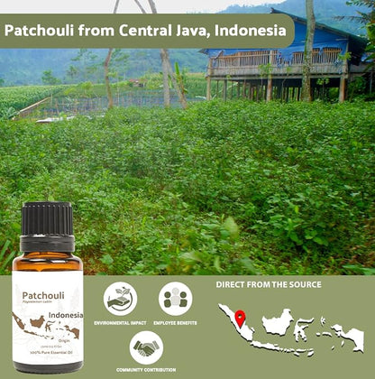 Dark Patchouli Essential Oil - Direct from Java Indonesia Natural Repellent Aceite de Pachulí - Aromatherapy and Premium Therapeutic Grade - Ideal for Body & Candle-Making (8oz)