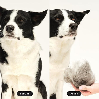 Pet Teezer De-Shedding Dog Brush by Tangle Teezer, Dog Grooming Tool for Short Haired Breeds and Wet or Dry Fur, Small, Navy & Sky Blue