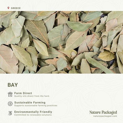 Bay Essential Oil - Direct from Greece - Steam Distilled - Laurel for Aromatherapy, Massage, Diffuser, DIY Candle and Soap Making - 8oz