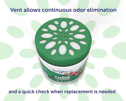 Bright Air 14 oz. Super Odor Eliminator, For Medium-Size Spaces, Winter Pine & Berries Scent, Case of 6, Odor Eliminator & Air Freshener, Natural Essential Oils, Lasts Up to 90 Days Each