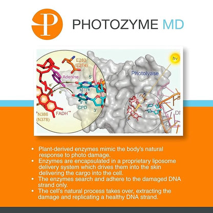 Photozyme DNA Repair Anti Aging Body Lotion Complex with DNA Enzymes + Omega 3 + 6 | Moisturizing, Hydrating, + Nourishing Skin Cream to Repair Sun Damage | Fragrance Free, Unscented | 8 Fl. Oz