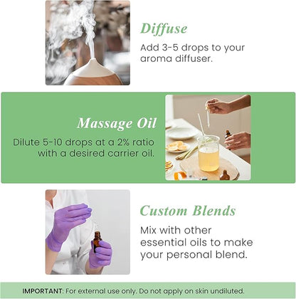 Handcraft Blends Basil Essential Oil – 1 Fl Oz – 100% Pure and Natural – Premium Grade Essential Oil for Diffuser and Aromatherapy, Skin, Massage, Candle and Soap Making Fragrance