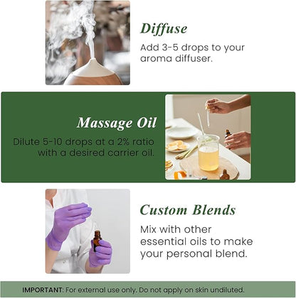 Handcraft Blends Cypress Essential Oil – 1 Fl Oz – 100% Pure and Natural – Premium Grade Essential Oil for Diffuser and Aromatherapy, Skin, Massage, Candle and Soap Making Fragrance