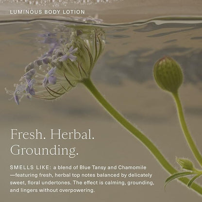 Oak Essentials Luminous Body Lotion | Hydrating Blue Tansy Body Lotion with Rose Oil, Turmeric, Shea Butter and Coconut Oil, 10.1 Fl Oz