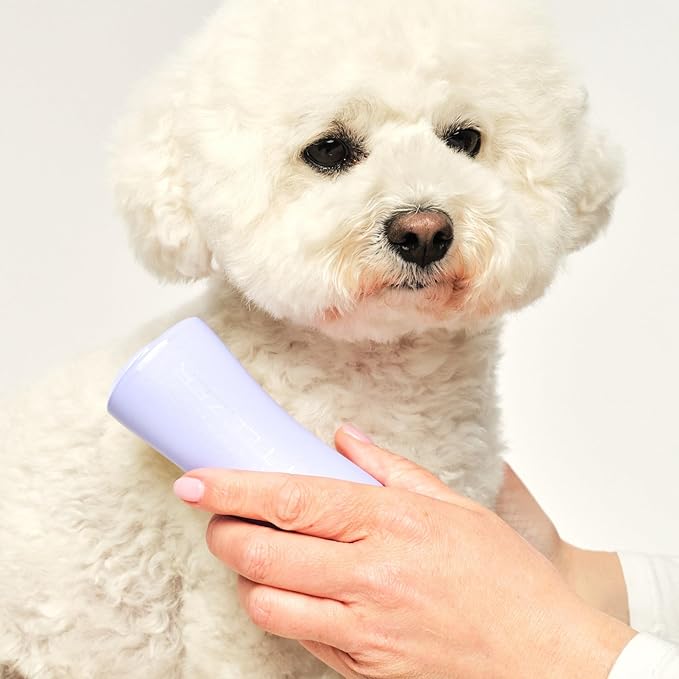 Pet Teezer Detangling Dog Grooming Brush, Dry Brush & Dog Bath Brush for Wet or Dry Fur & Light Shedding Breeds, Small, Lilac/Yellow