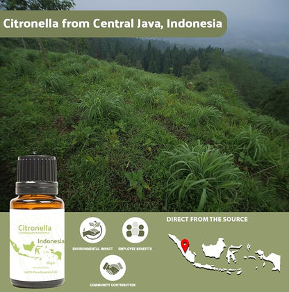 Citronella Essential Oil - Direct from Central Java, Indonesia - Pure Essential Oil for Diffusers and Aromatherapy | 100% Pure Therapeutic Grade (2lbs)