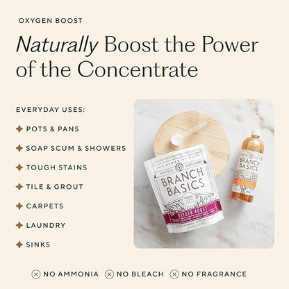 Branch Basics Premium Starter Kit in Glass: All Purpose Cleaner, Glass Cleaner, Bathroom Cleaner, Wash Bottle, and Laundry Bottle (3 Glass Spray Bottles + Concentrate) Fragrance-Free