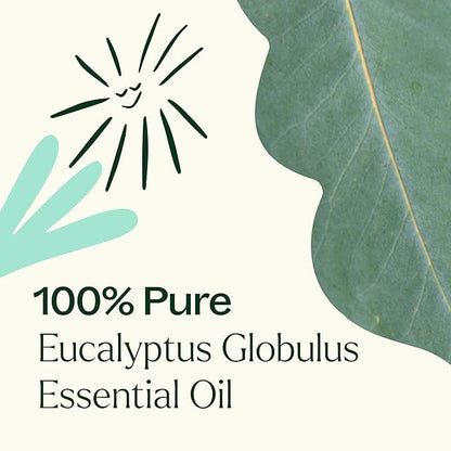 Plant Therapy Eucalyptus Globulus Essential Oil 100 mL (3.3 oz) for Diffuser, Skin, Hair, Aromatherapy DIYs, and Clear Breathing, 100% Pure, Undiluted, Therapeutic Grade