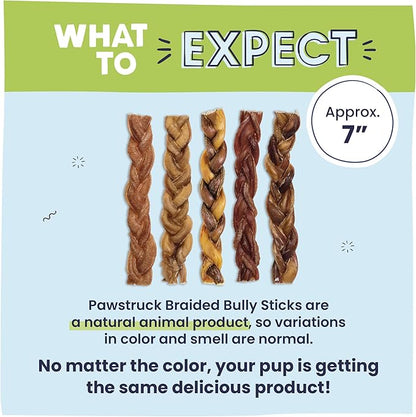Pawstruck Natural 7” Braided Bully Sticks for Dogs, Tough Long-Lasting, Rawhide-Free, Low Odor, Healthy Single Ingredient Chew Treat for Aggressive Chewers, 10 Count, Packaging May Vary