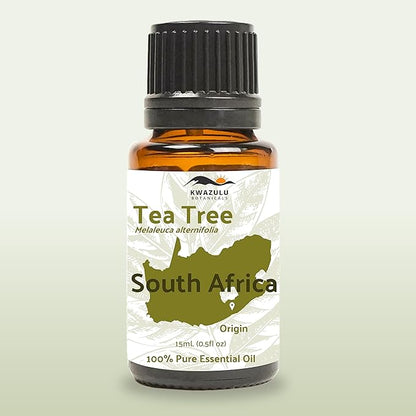 Tea Tree Essential Oil - Direct from Kwazulu Botanicals South Africa - Steam Distilled - Aceite Esencial de Árbol de Té for Aromatherapy, Diffuser, DIY Candle and Soap Making - 15ml