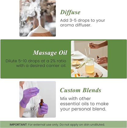 Handcraft Blends Rosemary Essential Oil – 1 Fl Oz – 100% Pure and Natural – Premium Grade Essential Oil for Diffuser and Aromatherapy, Skin, Massage, Candle and Soap Making Fragrance