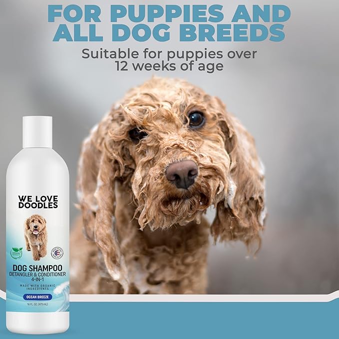We Love Doodles (Short Pins) Pet Rubber Bath Brush and Dog Shampoo (Bundle) - for Shower Scrubbing & Soothing Massage and Organic Dog Shampoo, Conditioner & Detangler - Made in The USA