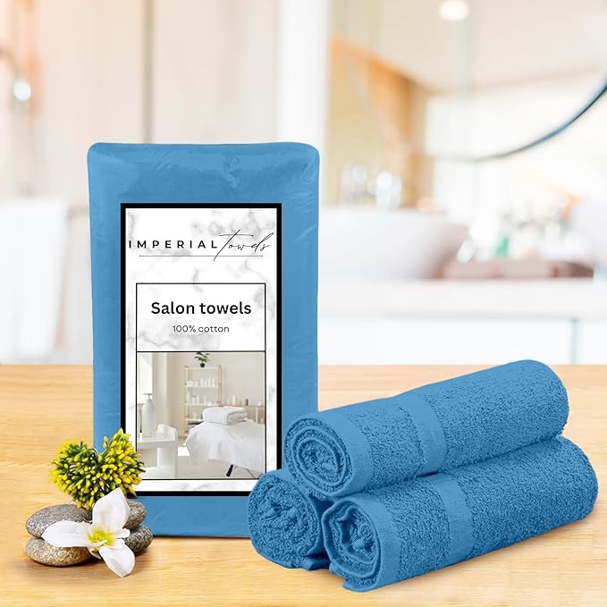 Hand Towels (Pack of 24) Light Blue Economy Towels Salon Towels - 100% Cotton Spa Towel – 16 x 27 Inches Highly Absorbable, Facial, Gym, Hair, Face Towels Bulk