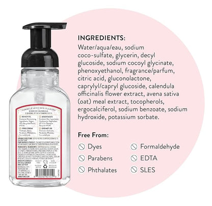 J.R. Watkins Foaming Hand Soap with Pump Dispenser, Moisturizing Foam Hand Wash, Alcohol-Free, Cruelty-Free, Peppermint, 9 fl oz, 3 Pack
