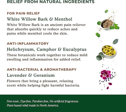 Nature's Willow Willow Balm Natural Pain Relief Cream for Muscles & Joints | Fast-Acting with Willow Bark & Menthol | Free from Artificial Fragrances & Dyes | 3-Pack | 3.5 fl oz