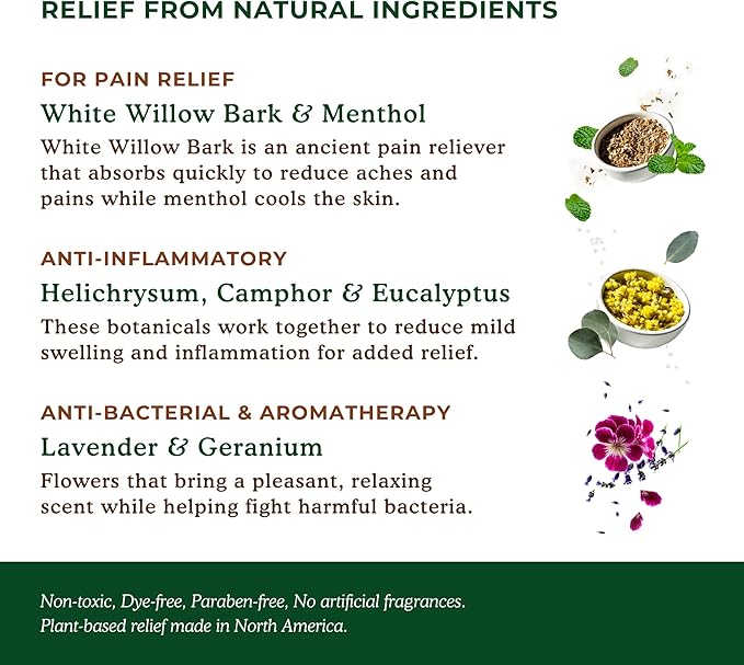 Nature's Willow Willow Balm Natural Pain Relief Cream for Muscles & Joints | Fast-Acting with Willow Bark & Menthol | Free from Artificial Fragrances & Dyes | 6-Pack | 3.5 fl oz