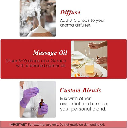 Handcraft Blends Wintergreen Essential Oil – 1 Fl Oz – 100% Pure and Natural – Premium Grade Essential Oil for Diffuser and Aromatherapy, Skin, Massage, Candle and Soap Making Fragrance