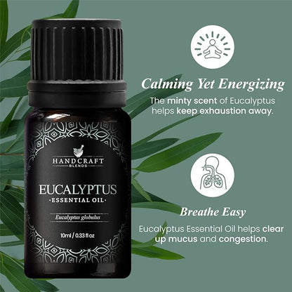 Handcraft Blends Eucalyptus Essential Oil – 0.33 Fl Oz – 100% Pure and Natural – Premium Grade Essential Oil for Diffuser and Aromatherapy, Skin, Massage, Candle and Soap Making Fragrance