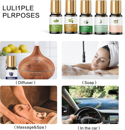 Essential Oils Set, 100% Organic Essential Oil, Lavender, Ylang Ylang, Tea Tree, Eucalyptus Scented Oil, Essential Oils for Diffusers for Home, Candle Making, Humidifiers (12)