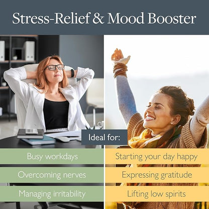 Scentered Aromatherapy Balm Stick Duo for Stress Relief & Positivity - Roll On Essential Oil Blends of Grapefruit, Lemon, Chamomile - Aromatherapy Gifts for Women - De-Stress & Happy