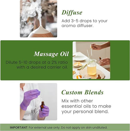 Handcraft Blends Bergamot Essential Oil – 1 Fl Oz – 100% Pure and Natural – Premium Grade Essential Oil for Diffuser and Aromatherapy, Skin, Massage, Candle and Soap Making Fragrance