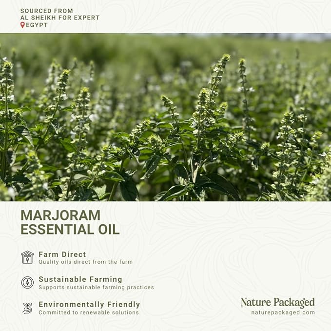 Marjoram Essential Oil - Direct from Al Sheikh for Export Egypt - Steam Distilled - Aceite de Mejorana for Aromatherapy, Massage, Diffuser, DIY Candle and Soap Making - 15ml