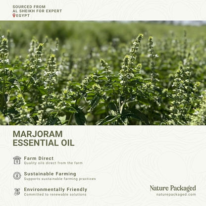 Marjoram Essential Oil - Direct from Al Sheikh for Export Egypt - Steam Distilled - Aceite de Mejorana for Aromatherapy, Massage, Diffuser, DIY Candle and Soap Making - 15ml